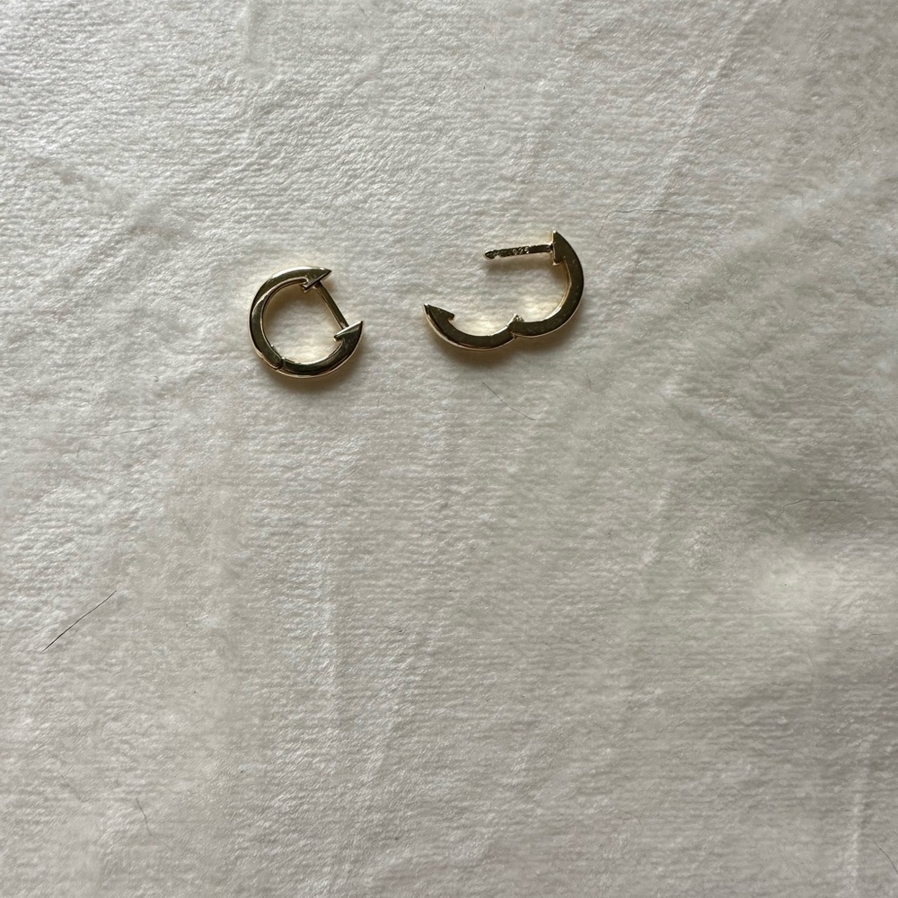 Chic Gold-Tone Hoop Earrings